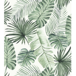 ~ Aesthetic Vibes~ :)