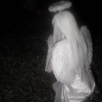 voidangel†