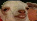 Gooder Guys