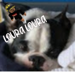 L_oura