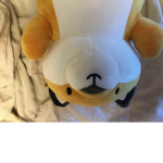 FoxyGames!