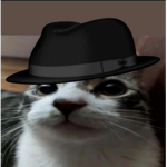 The Dummy Community