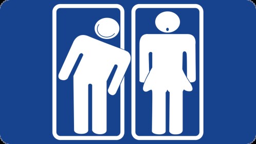 Toilet Tycoon