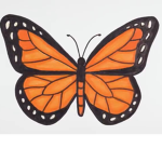 Butterfly’s Kingdom