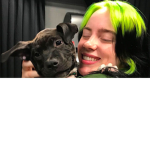 ~Billie Eilish Vibe Group~