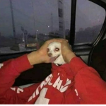 bimbawa
