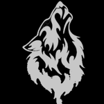 #BlackW0lf