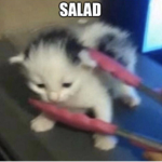 Salads Fruits