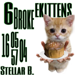6brokeEkittens