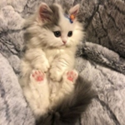 ♡
