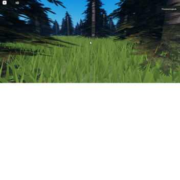  forest of morning..