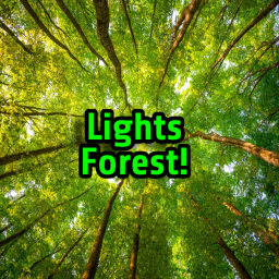 Light's Forest! (NEW!)