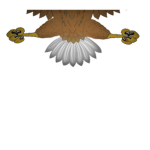 2nd U.S Rifle Regiment