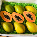 Papaya Gang