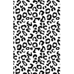 Cheetah 3
