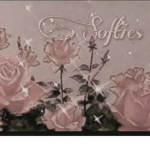 Its the softies clothing