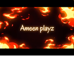 Ameenplayz’s fellow gamers
