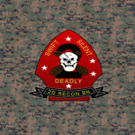 |-24th MEU-| 2nd Reconnaissance Battalion