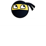 Epical ninja surviors