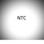 NTC 로블록스 지부