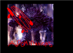 the abominations