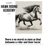 • hawk riding academy •