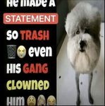 cremator