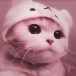 ゜✧*̣̩☽⋆゜