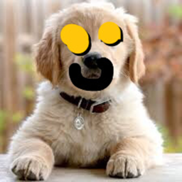 Dog fanclub
