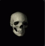 skullz?