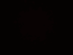 Eclipese_Sakura