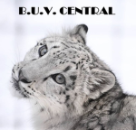 B.U.V.