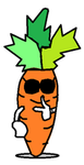 Carrot Developing