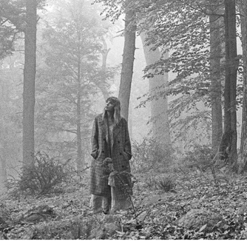 for the fans of the goddess Taylor Swift 