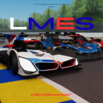 Le Mans Endurance Series (LMES)