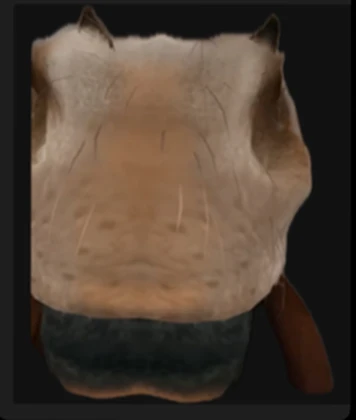 Dura The Oslik Roblox group icon