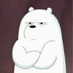 Grupo do polar