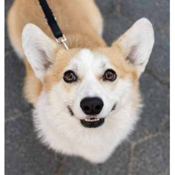 เกมที่เจ๋งที่สุดที่เคยมีมา!