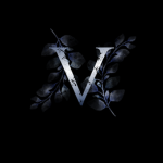 V I S A G E 終