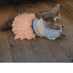 Ms. Kitty