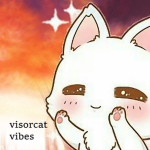 Visorcat Aesthetics Clothing