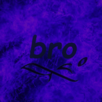 The Bro Mafia
