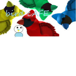bird cafe and store