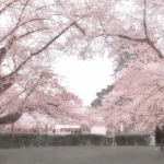 - EtherealBloom -