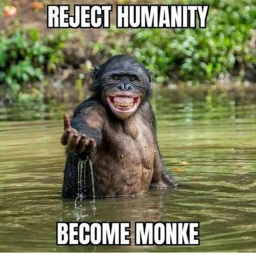 survive monkeys