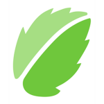 Mint Concepts