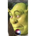 Shrek fan group ;-;