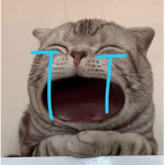- 노는_회사 -