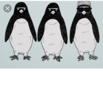 PENGUIN SWAG