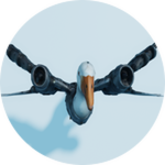 Goose